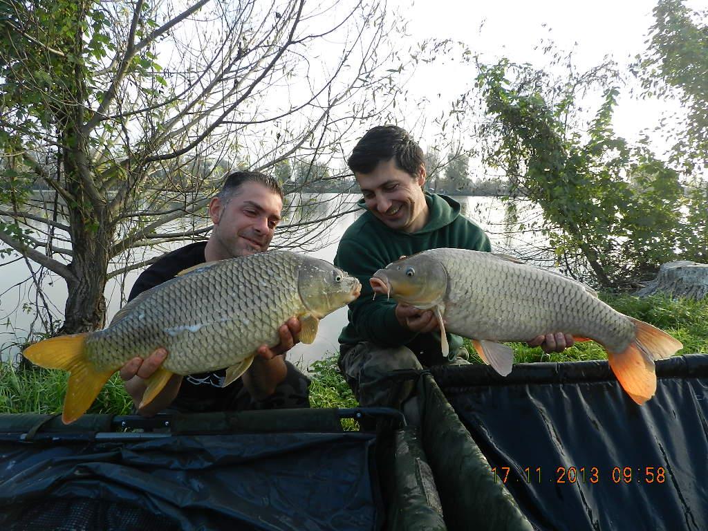 15 noiembrie 2013 - dscn1820.JPG